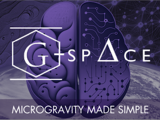 Custom Logo